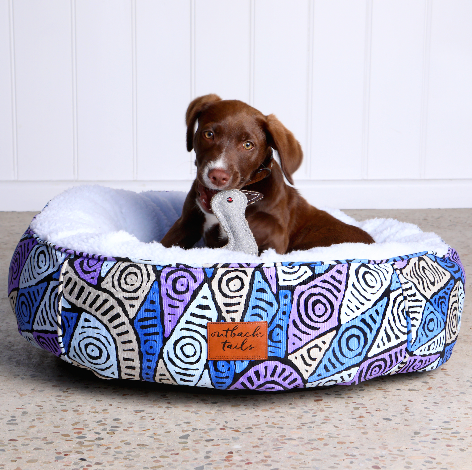 Show Your Pet Some Love in Lockdown