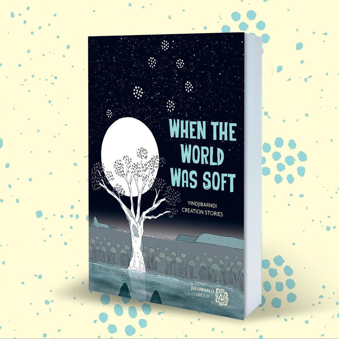 When The World Was Soft - Graphic Novel