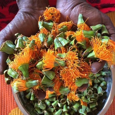 Bush Blossom Body Butter 40g