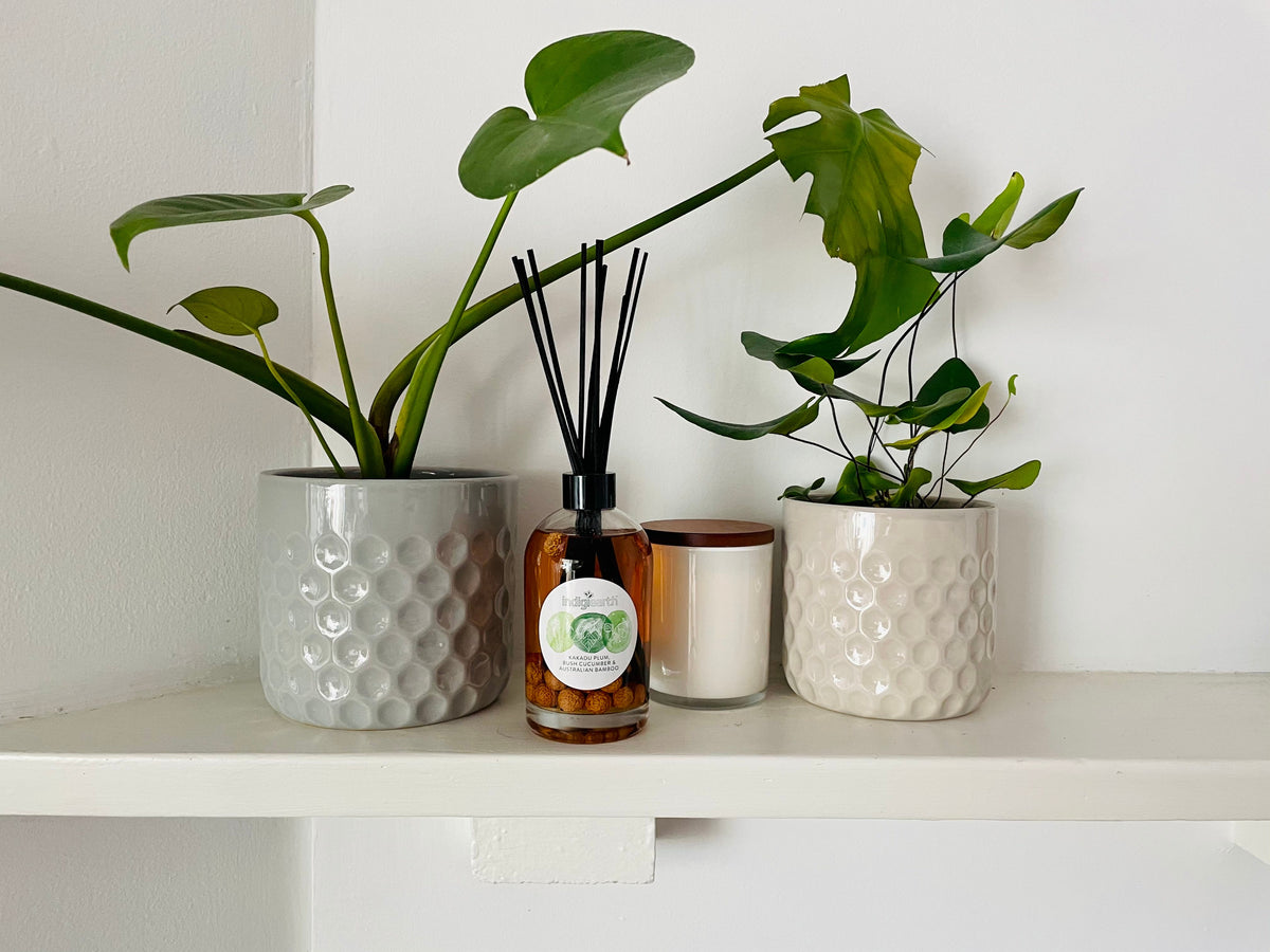Aboriginal Diffusers | Welcome To Country