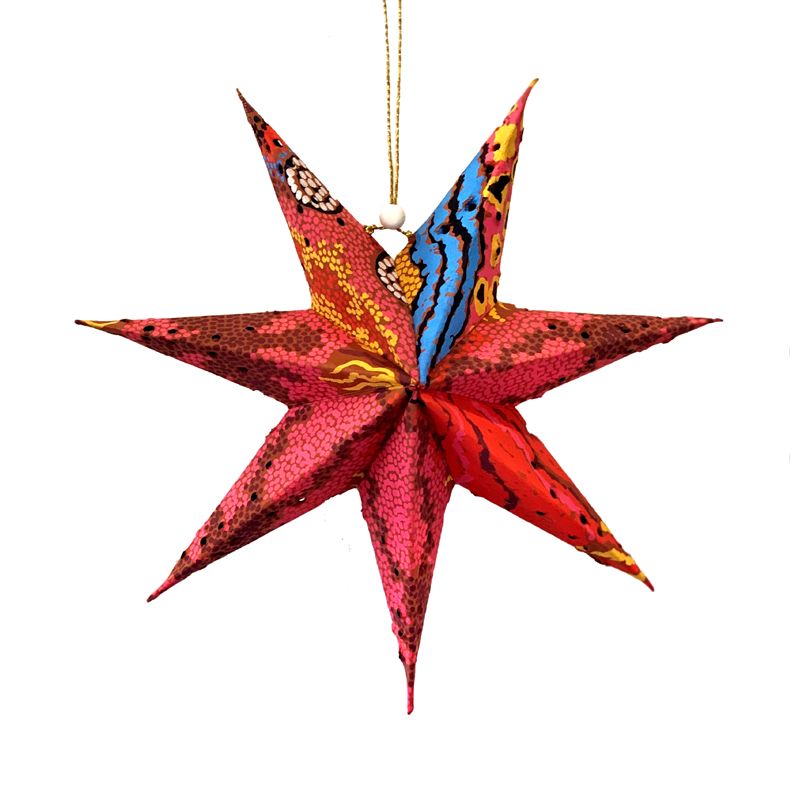 Paper Star by Damien & Yilpi Marks